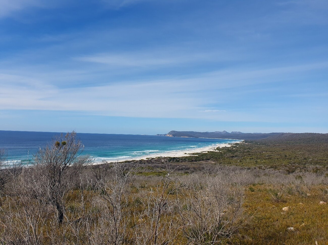 Spiky Beach Conservation Area-斯旺西必去景点