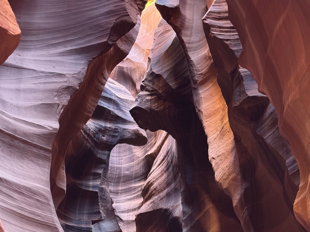 Black Streak Canyon Tours-佩吉必去景点