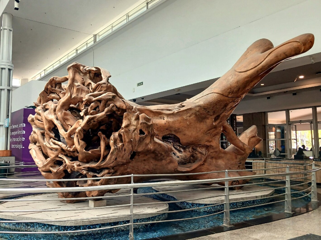 Parque Dom Pedro Shopping-坎皮纳斯必去景点