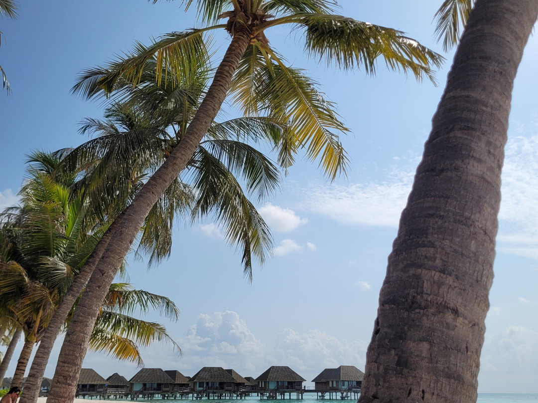 Club Med卡尼岛度假村主图