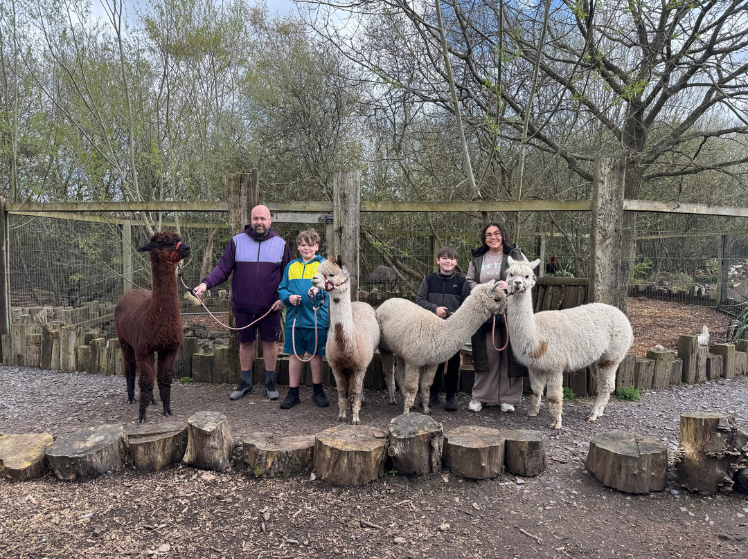 Nanny Sharon's Alpaca Farm C.I.C-Prenton必去景点