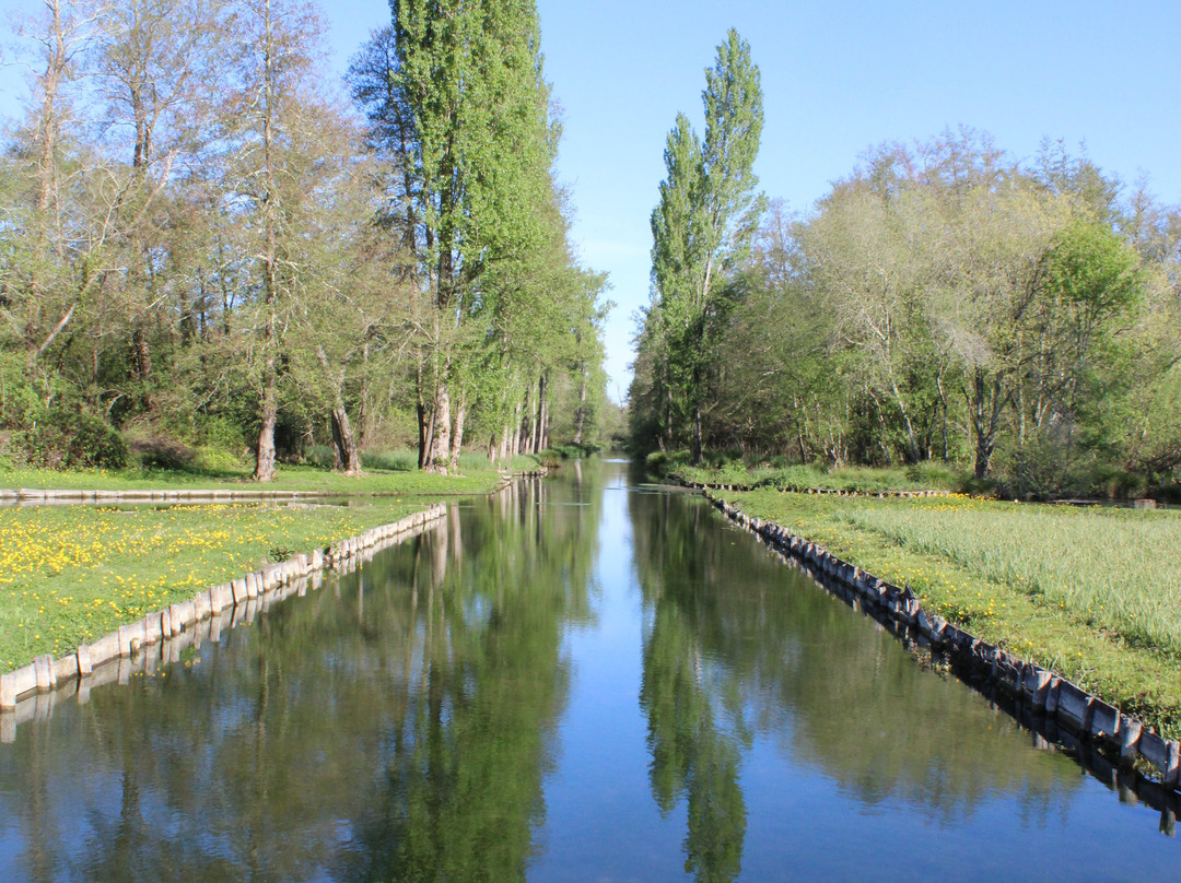 Château de La Roche Courbon-Saint Porchaire必去景点