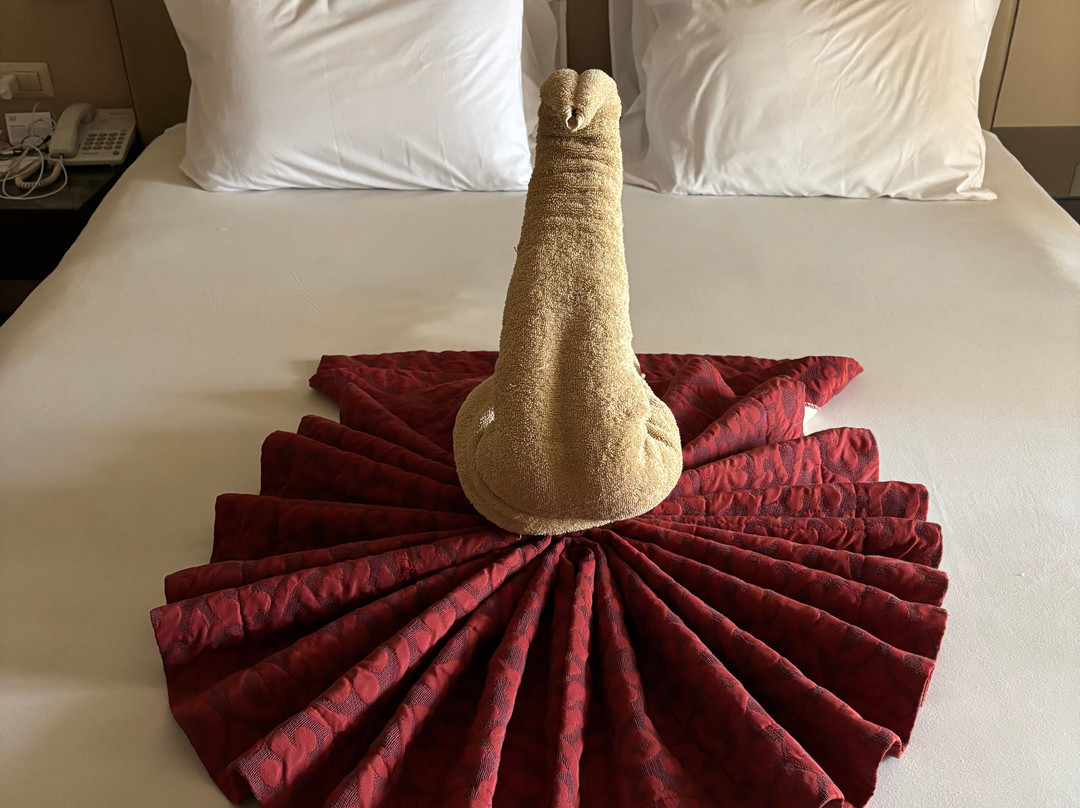 贾兹马卡迪纳主图