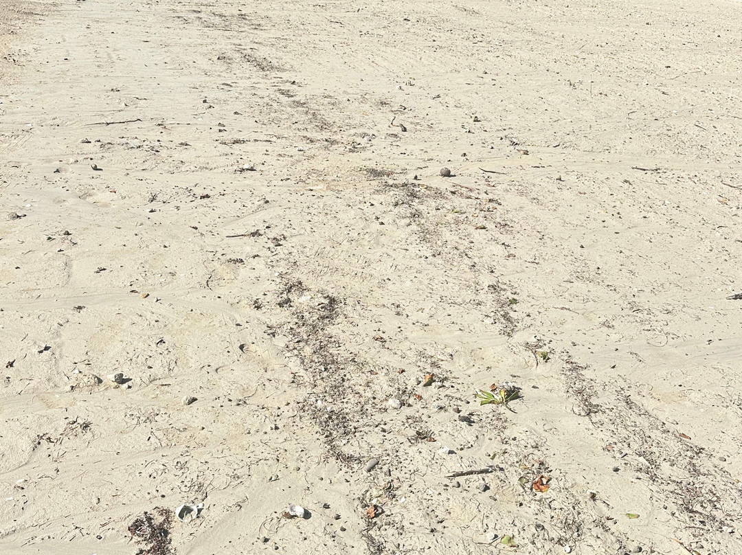 斐济六善酒店, IHG酒店主图