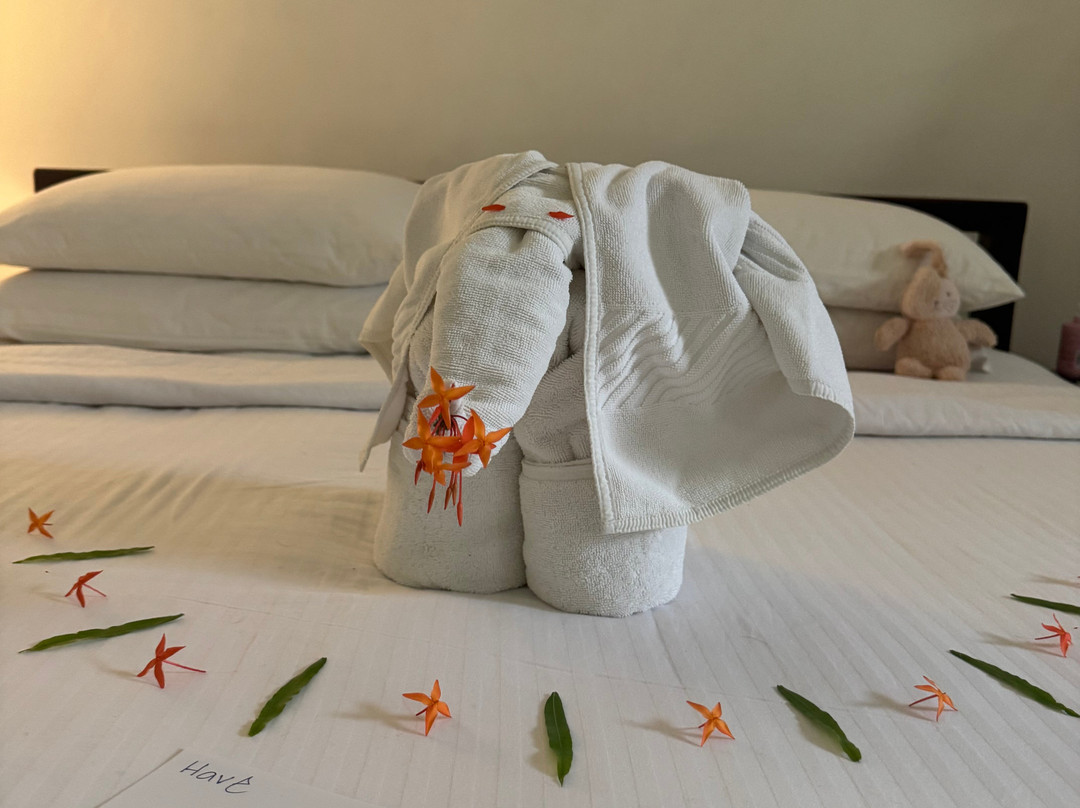 辛纳蒙·哈伯瑞纳度假村主图