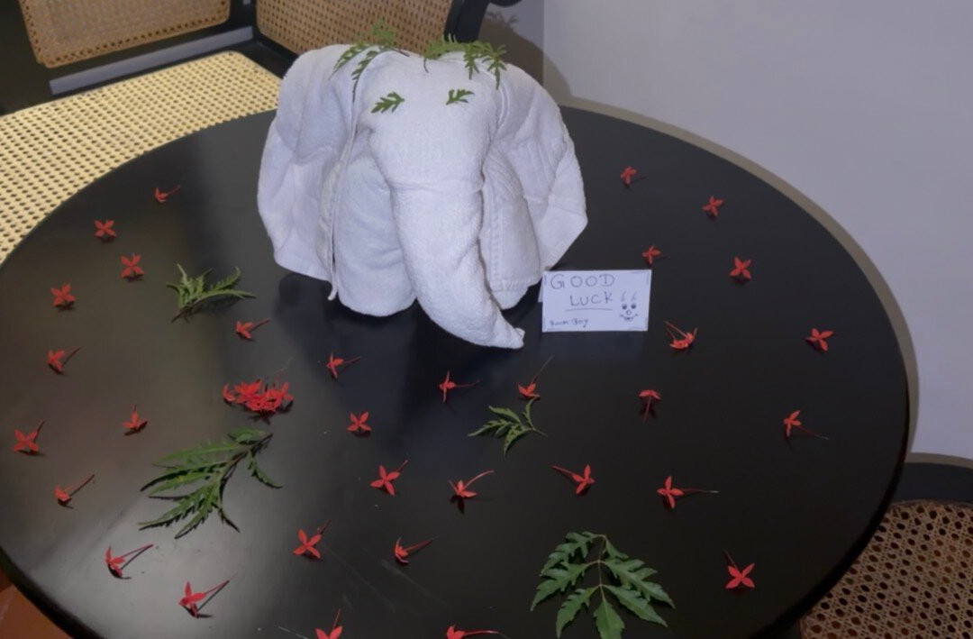 辛纳蒙哈伯拉纳山林酒店主图