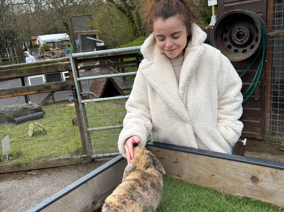 Gypsy Wood Park-卡那封必去景点
