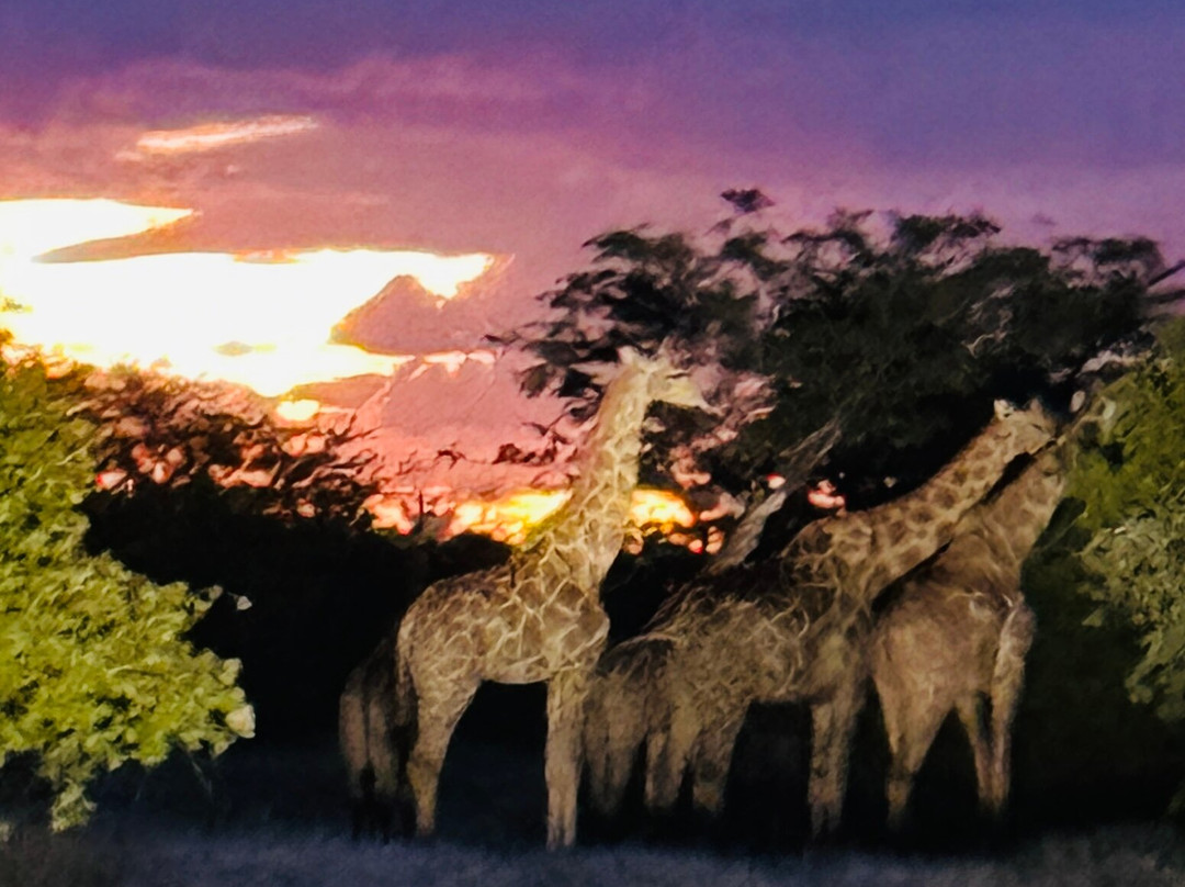 艾帕奇野生动物园旅馆及 SPA主图