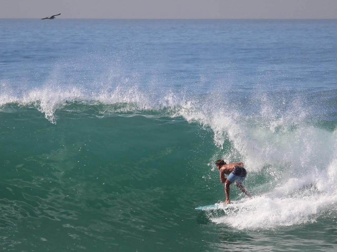 Shaka Surf Morocco-Tamraght必去景点
