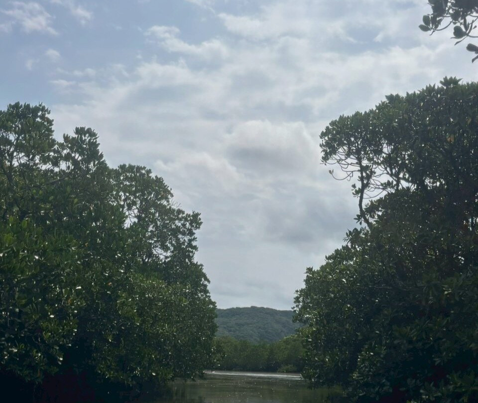 IRIOMOTE ADVENTURE PiPi-竹富町西表岛必去景点
