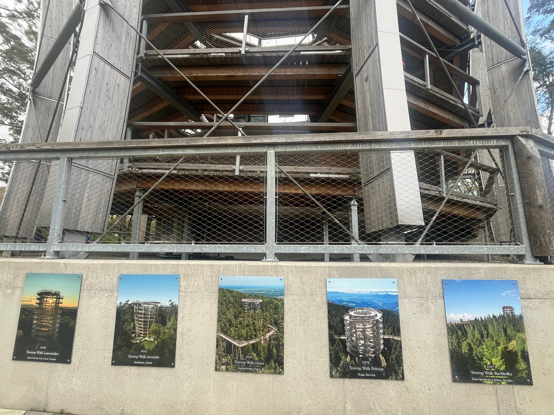 Treetop Walk Avondale