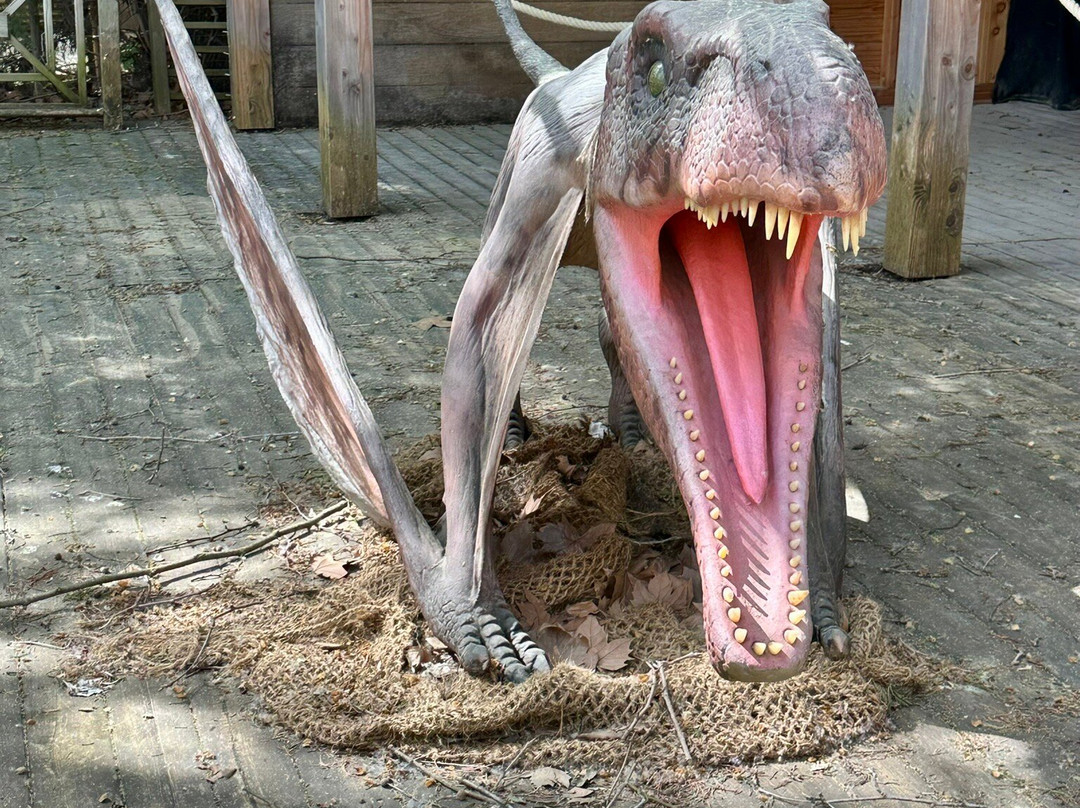 Dinopedia Parcs Provence-La Roque-d'Antheron必去景点