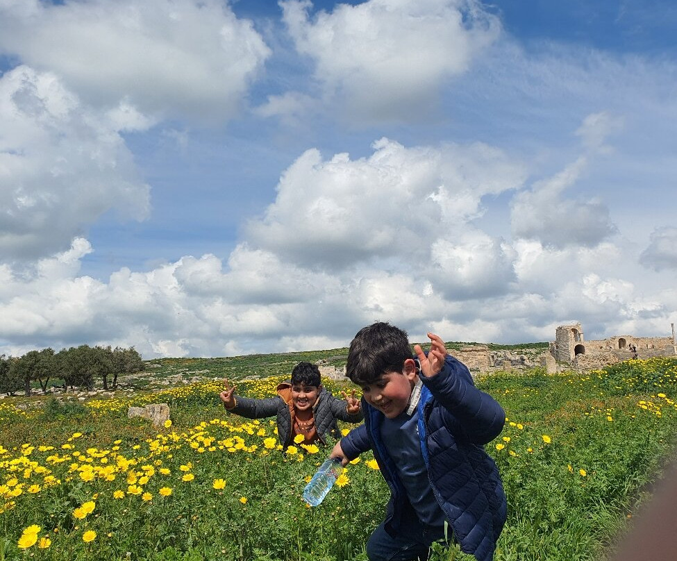 Dougga-Teboursouk必去景点