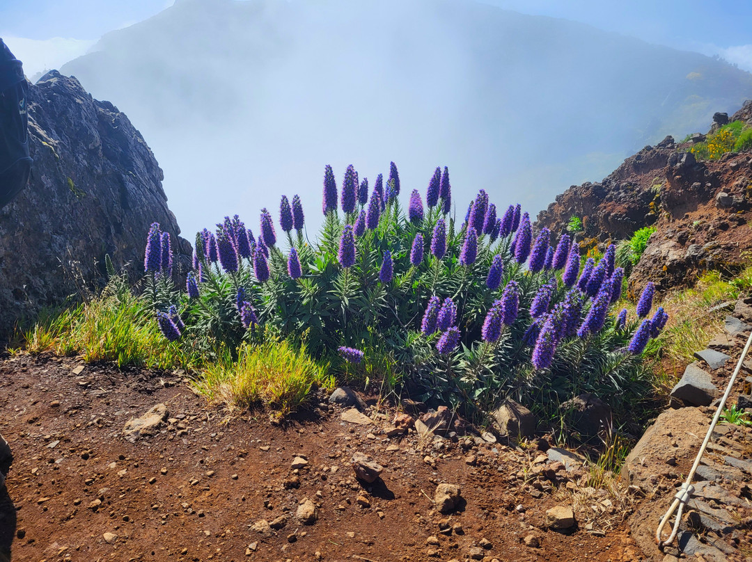 Pico do Arieiro-沙尔必去景点