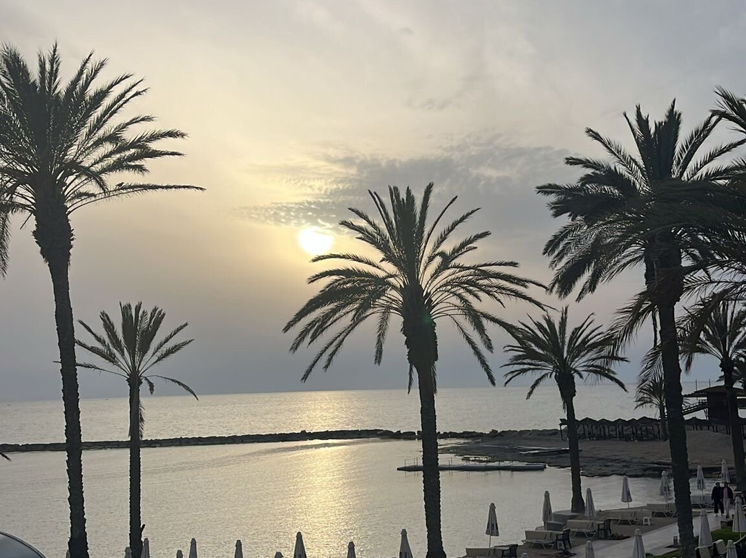 Constantinou Bros Pioneer Beach Hotel主图