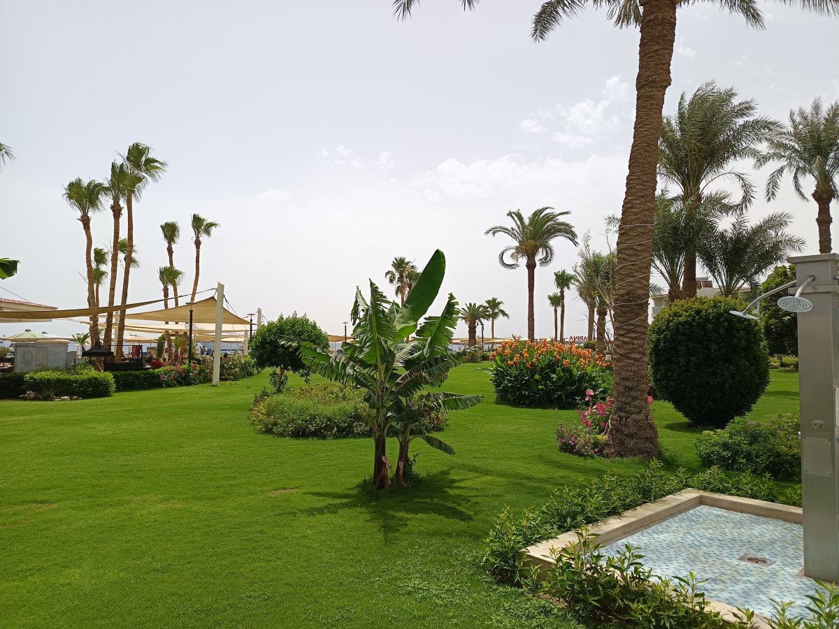 Amarina Abu Soma Resort & Aquapark-旅行者