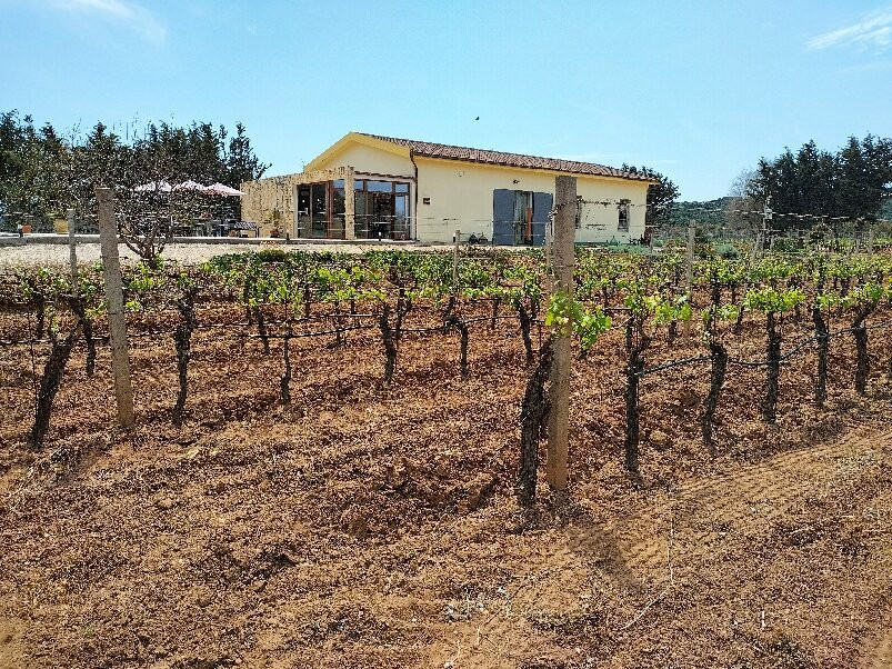 cantina rigàtteri-Santa Maria La Palma必去景点