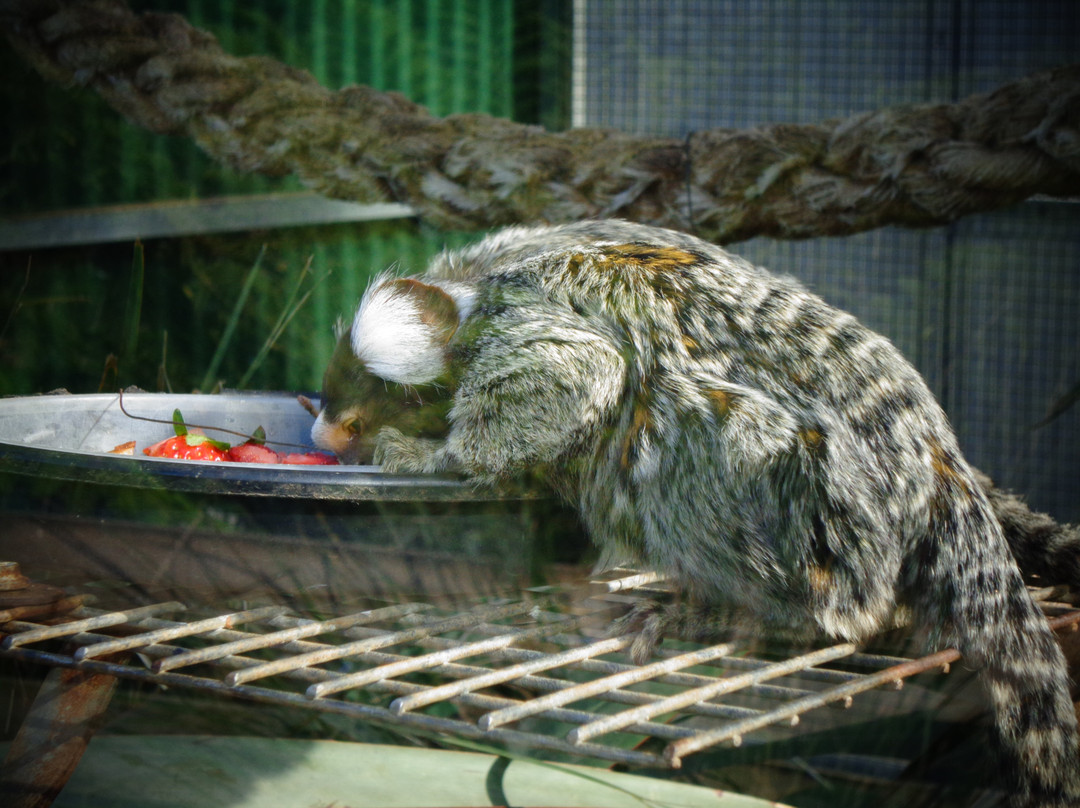Wings Wildlife Park-Gunns Plains必去景点