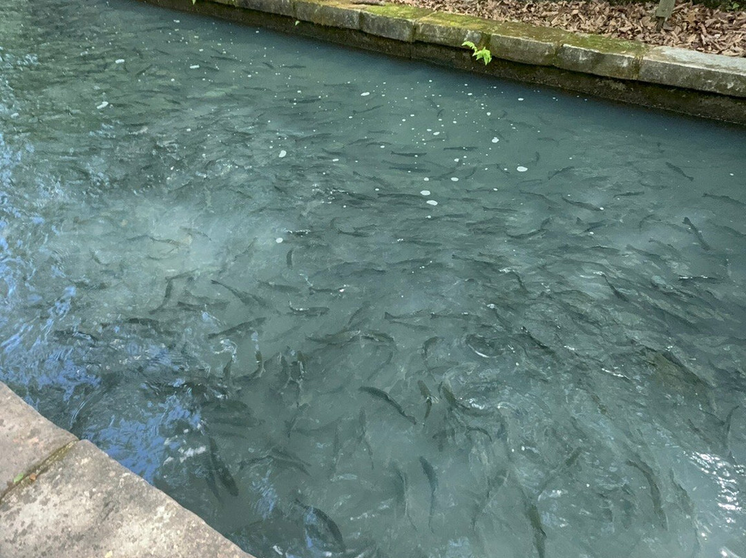 Maramec Spring Park-Saint James必去景点