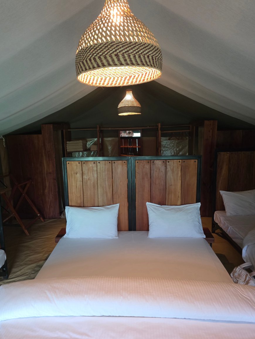 Kimbilio Serengeti Camp-旅行者