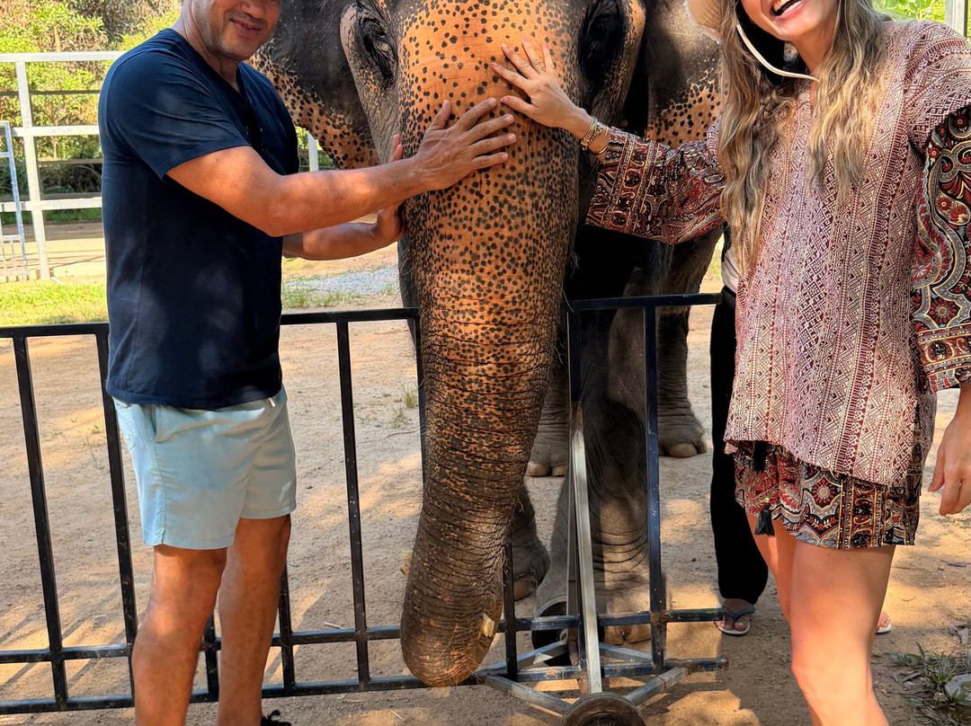 The Lake Phuket Elephant Home-Thep Krasatti必去景点