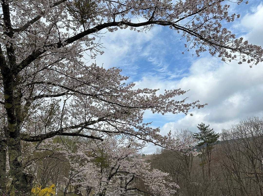 Fudo Falls-八幡平市必去景点