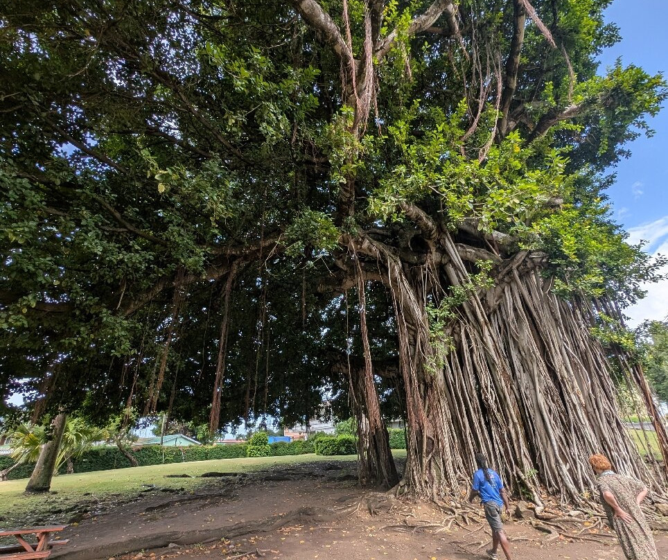 Dominica Botanic Gardens-罗索必去景点