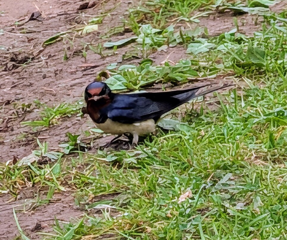 Nagshead Nature Reserve-Parkend必去景点