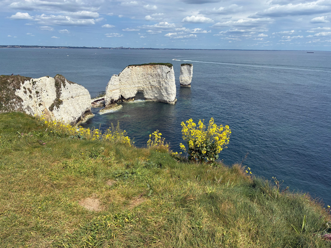 Old Harry Rocks-斯沃尼奇必去景点