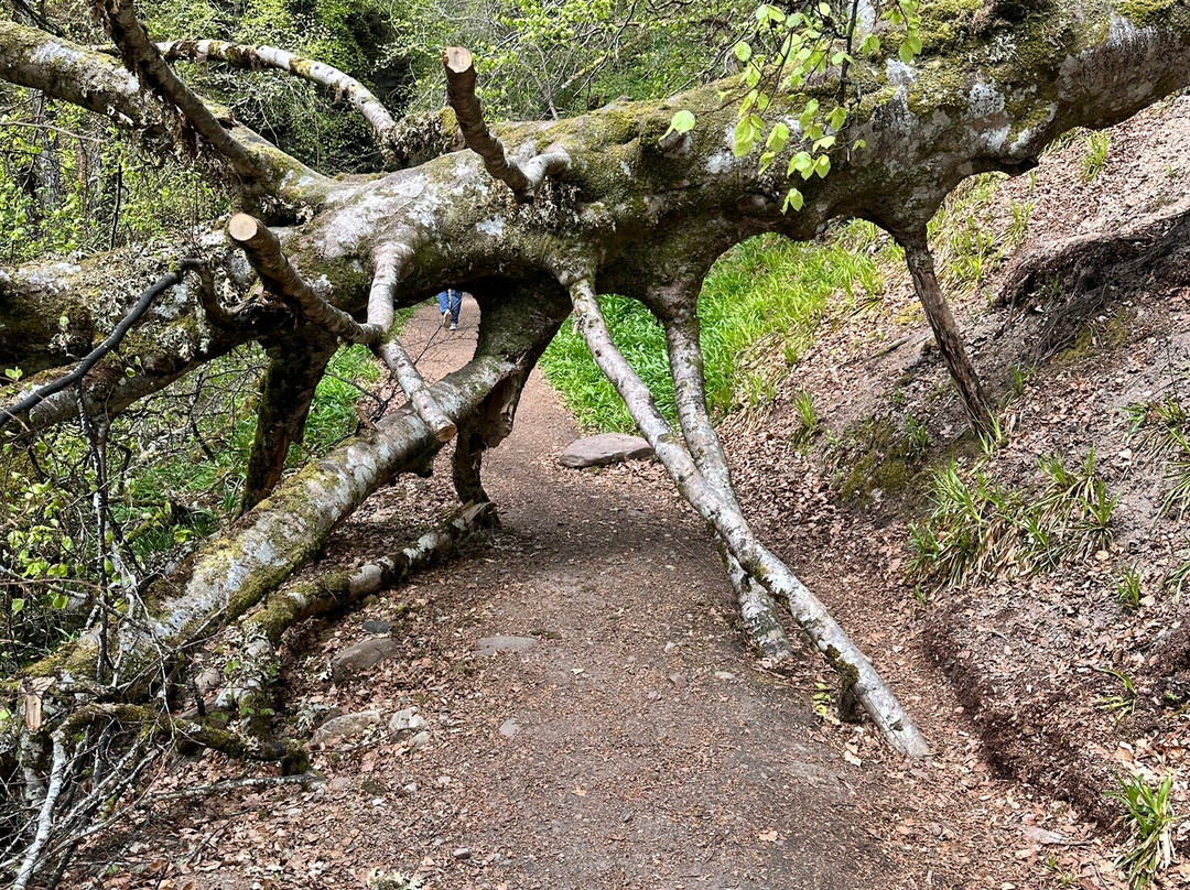 Big Burn Walk-Golspie必去景点