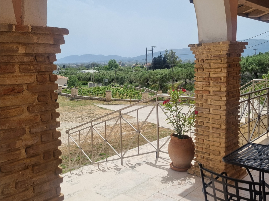 Solomos Winery-扎金索斯镇必去景点