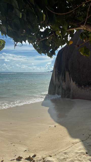Club Med Seychelles-旅行者