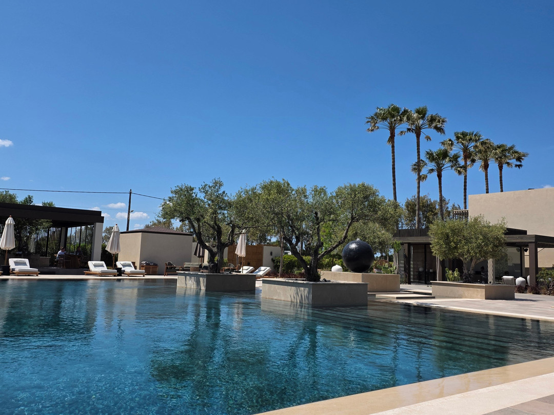 The Ritual, A Wellness Retreat