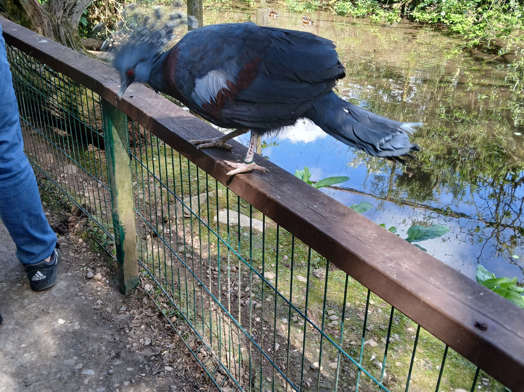 Tropical Birdland-Desford必去景点
