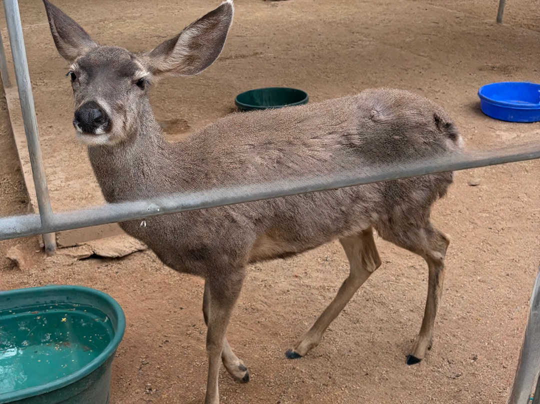 Southwest Wildlife Conservation Center-斯科茨代尔必去景点