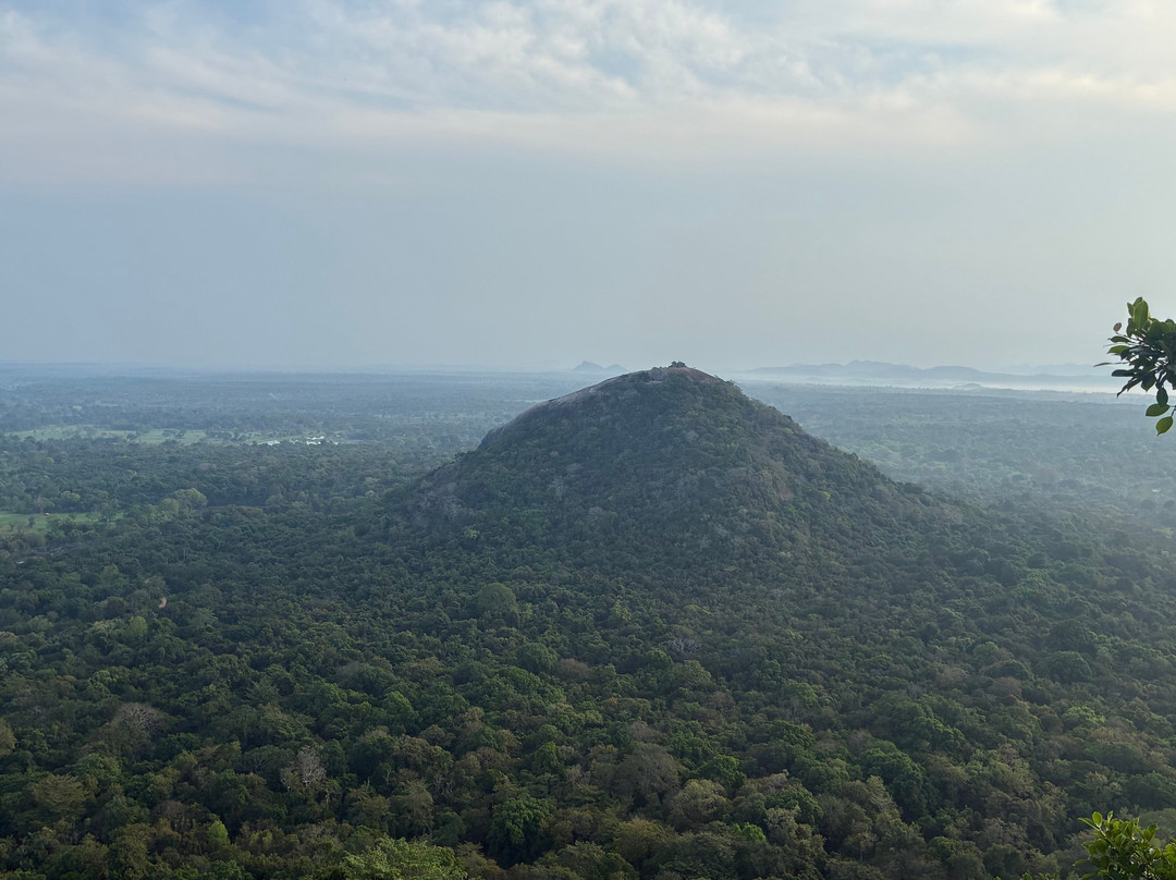 Sri Lanka Driver Tours-Yatiyana必去景点
