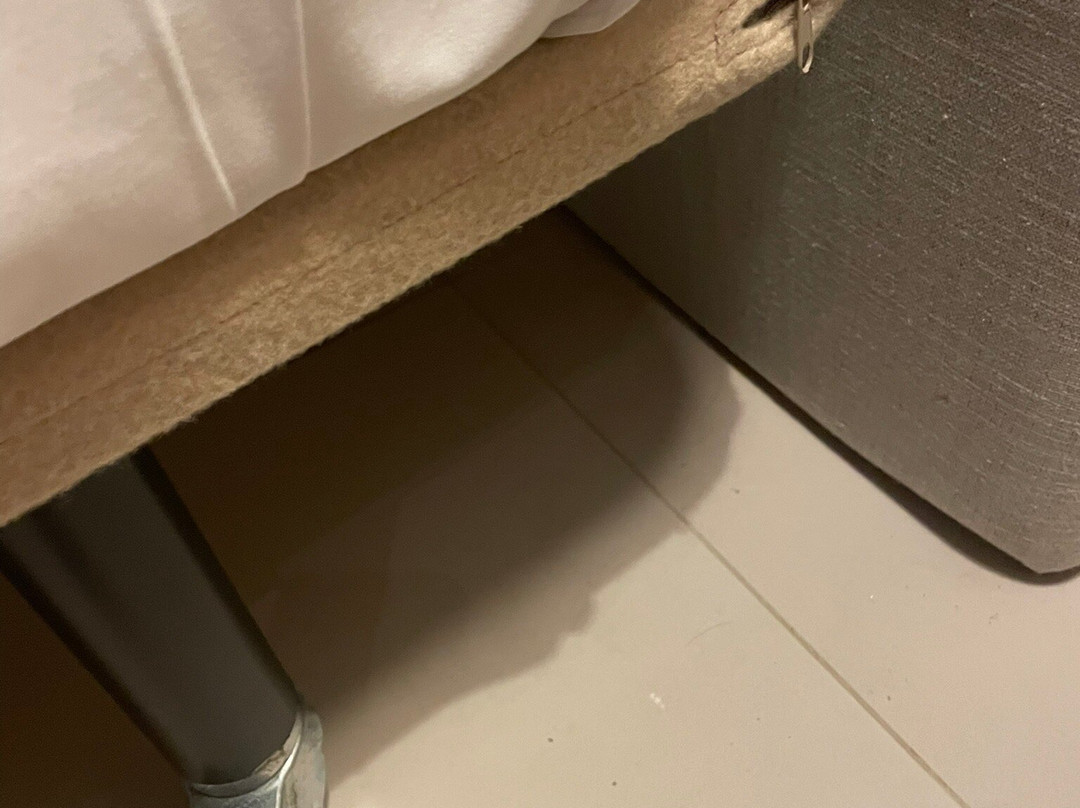 达斯亚伊科斯酒店 - 全包式主图