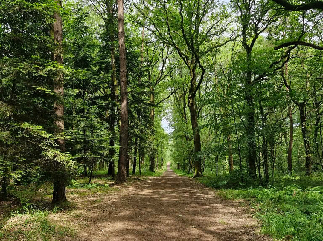 Paimpont Forest-Paimpont必去景点