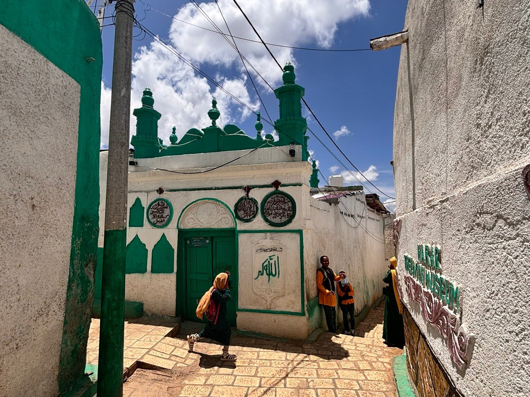 Bini Harar Tours-哈勒尔必去景点