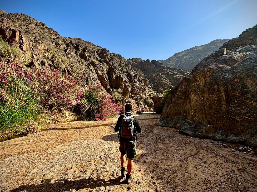 Jordan Trail Guide-佩特拉必去景点