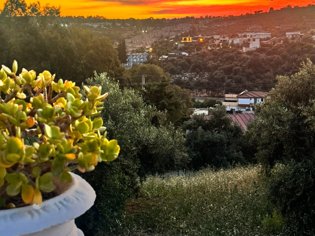 Patara Viewpoint Hotel主图