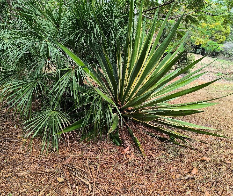 Horizons Kangaroo Sanctuary & Camp Ground-Agnes Water必去景点