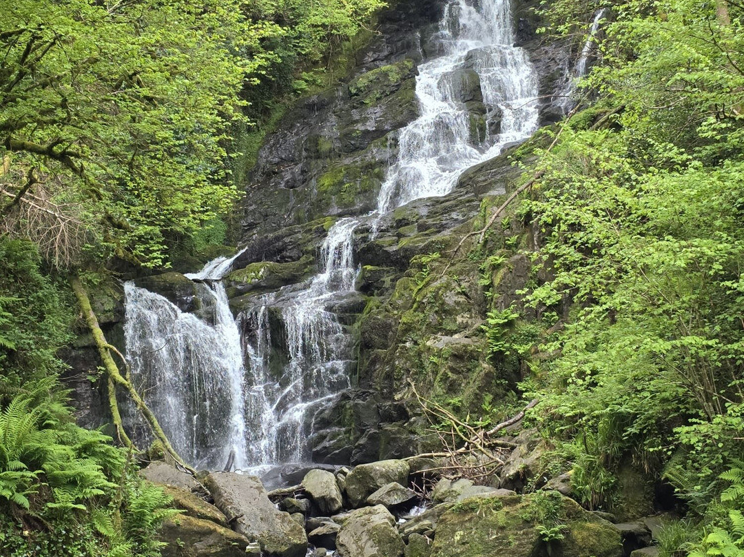 Kerry Coaches-基拉尼必去景点
