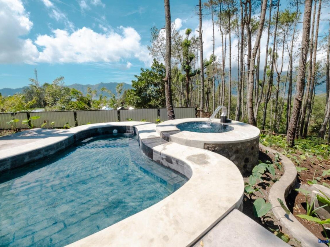 La Pino Mount Batur And Hot Spring