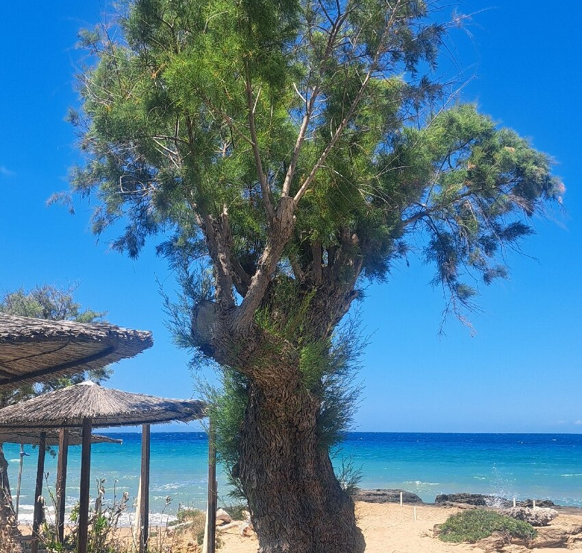 Vrahos Beach-瓦西里科斯必去景点