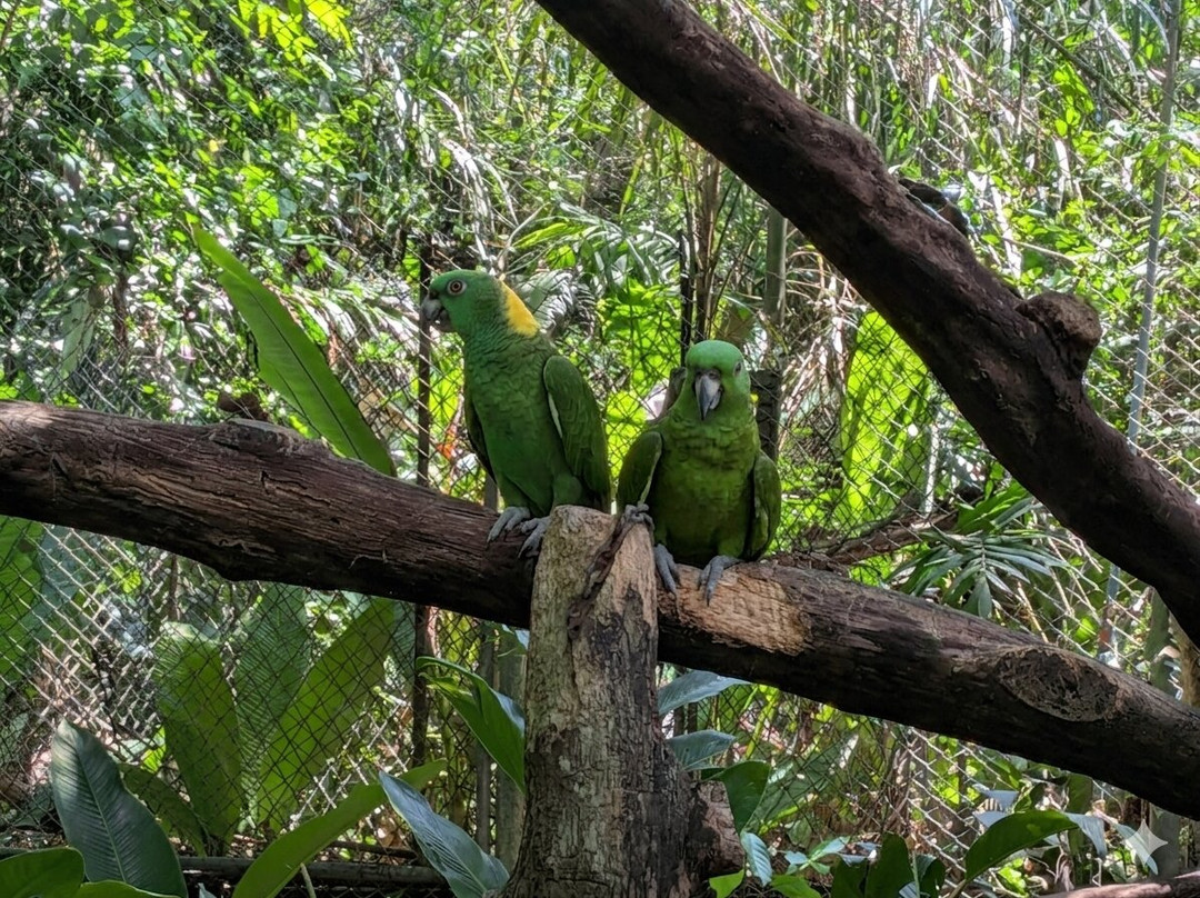 Natuwa Wildlife Santuary-彭塔雷纳斯必去景点