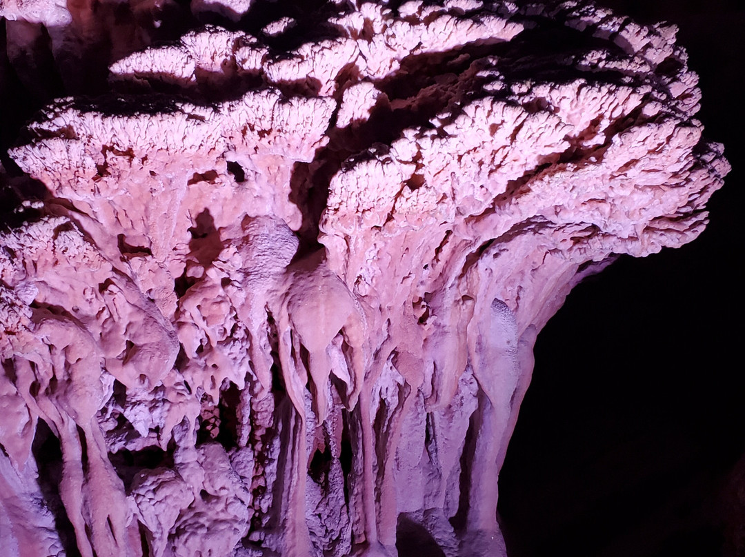 Grotte de la Salamandre-Mejannes-le-Clap必去景点