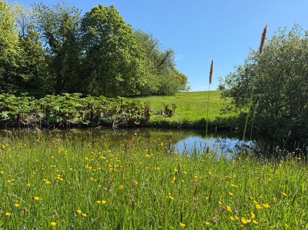 Howick Hall Gardens & Arboretum-阿尼克必去景点