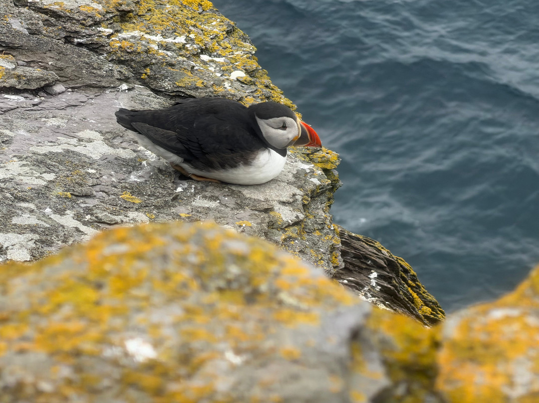 Skellig Coast Adventures-Portmagee必去景点