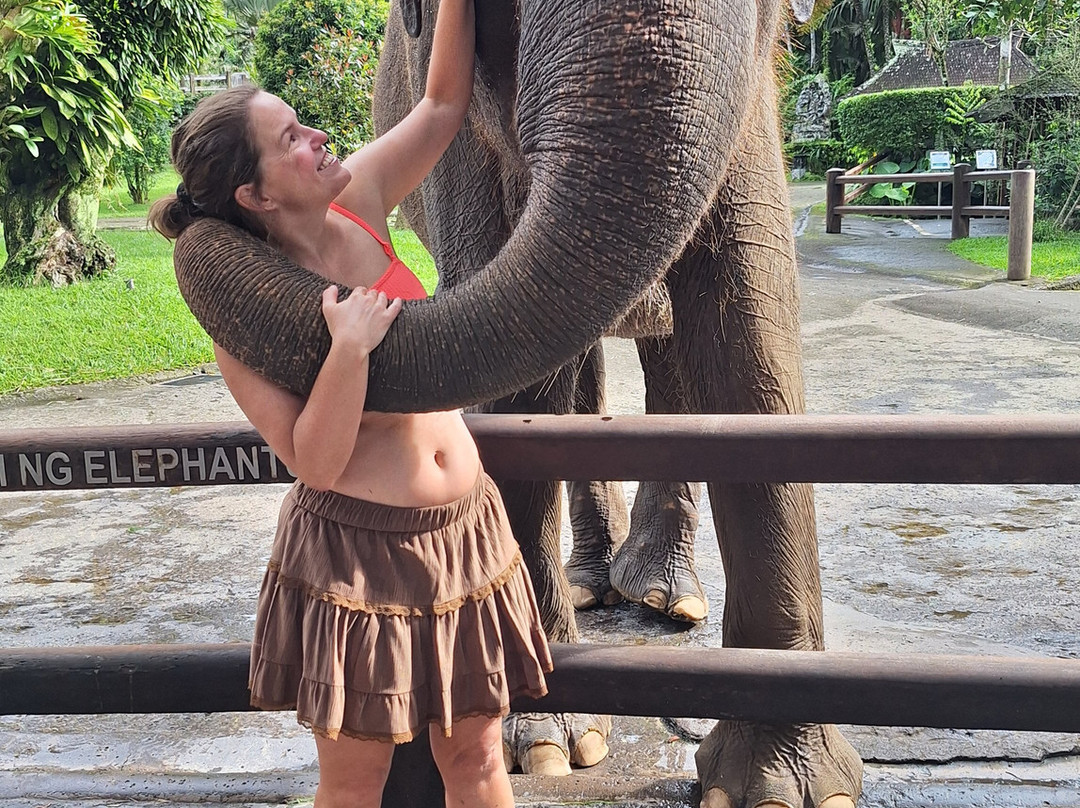 Bali Elephant Park-登巴萨必去景点